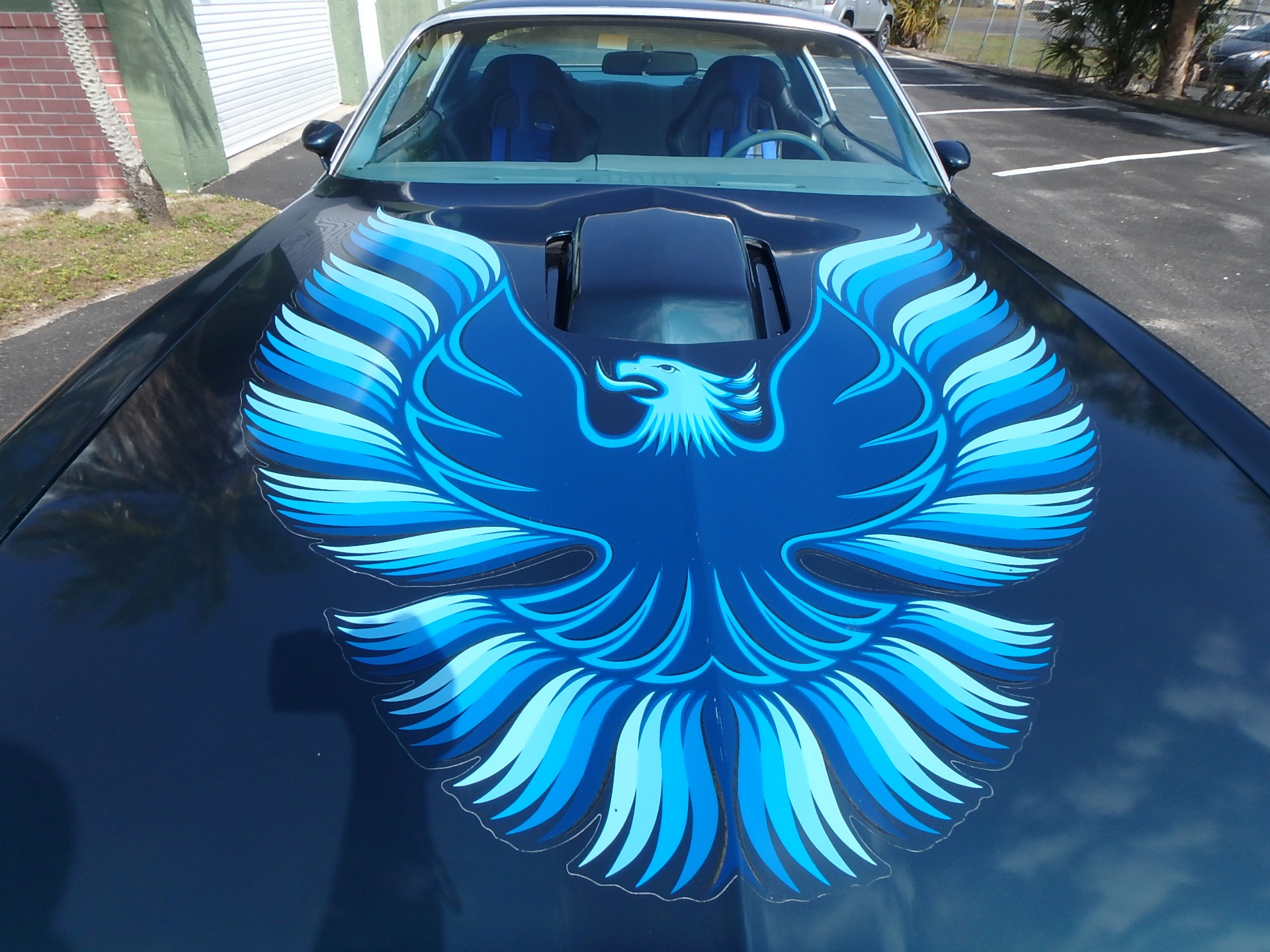 Used 1979 Pontiac Trans Am