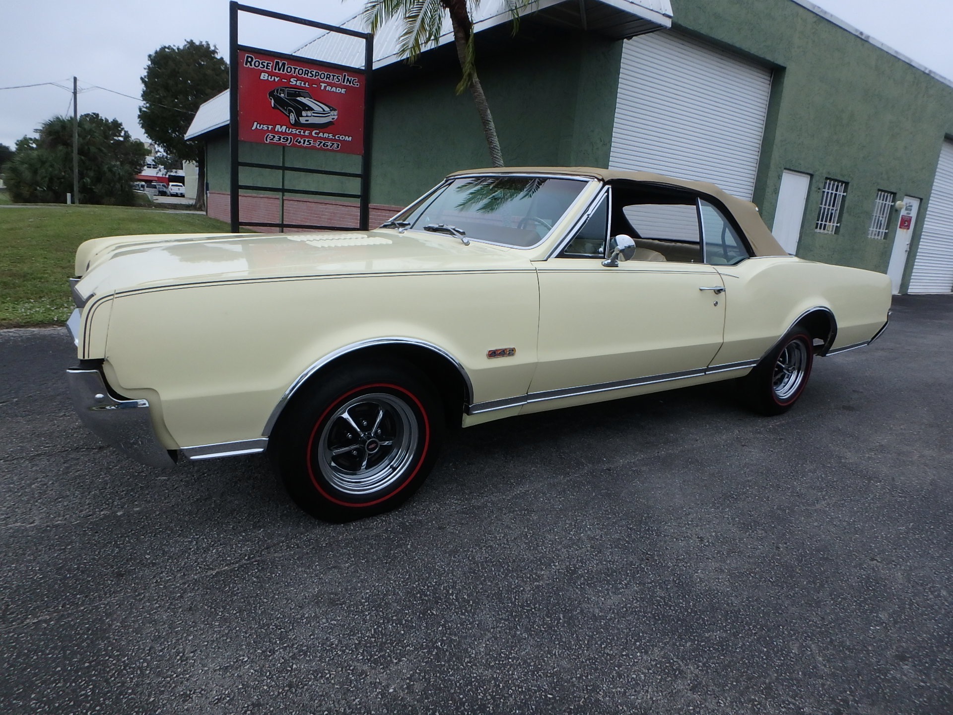 Used 1967 Olds 442 Convertible