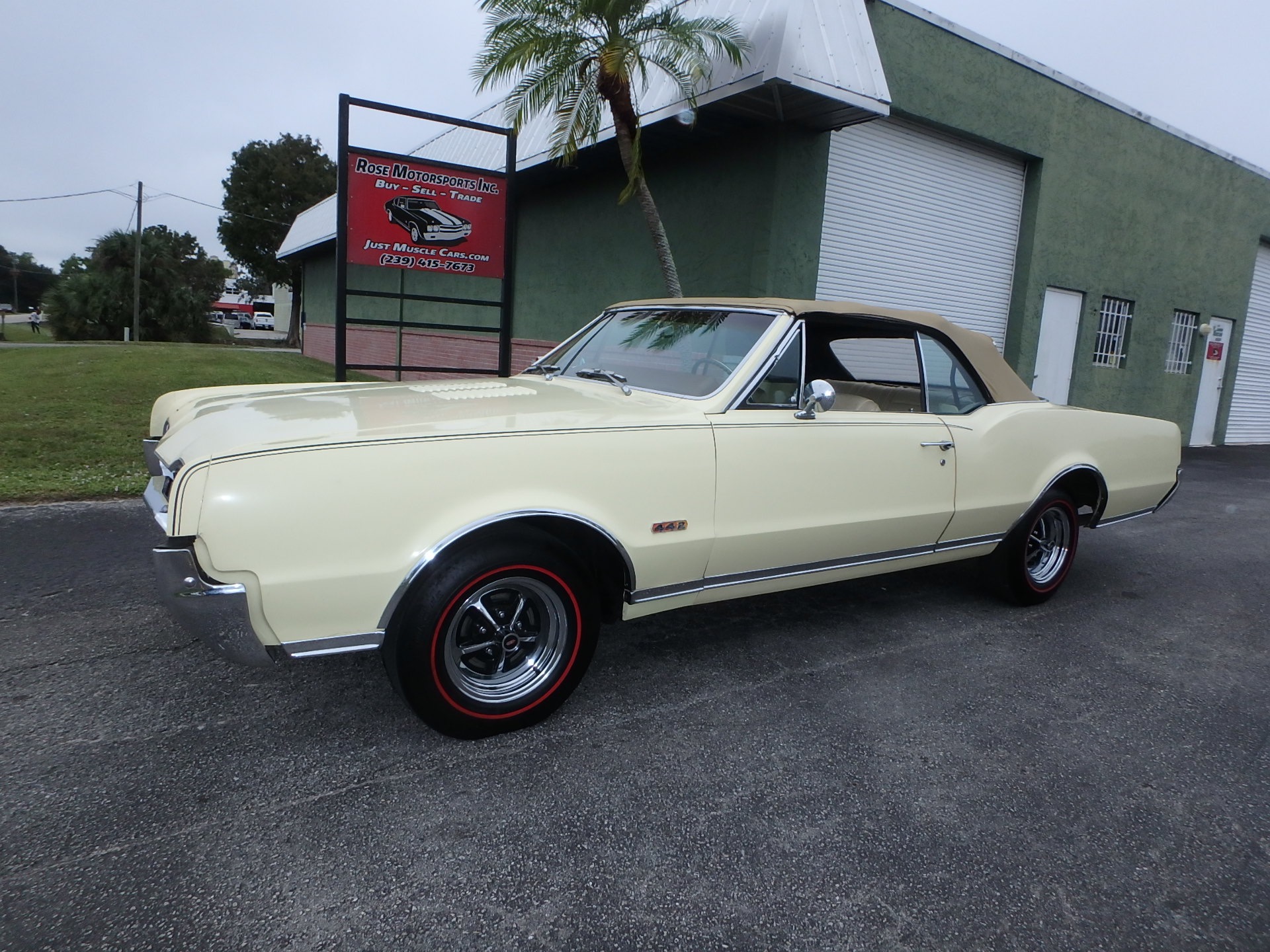 Used 1967 Olds 442 Convertible