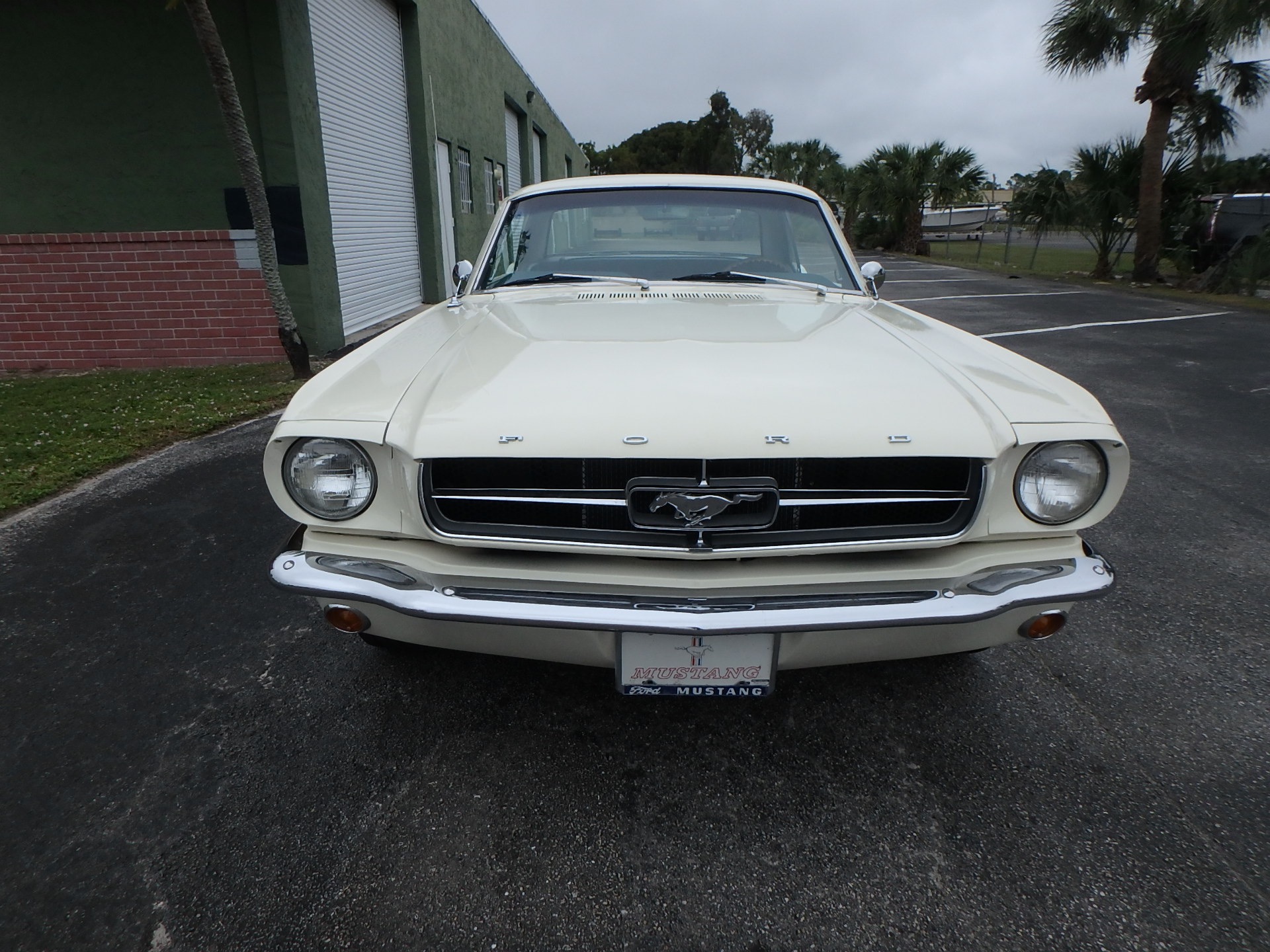 Used 1965 Ford Mustang