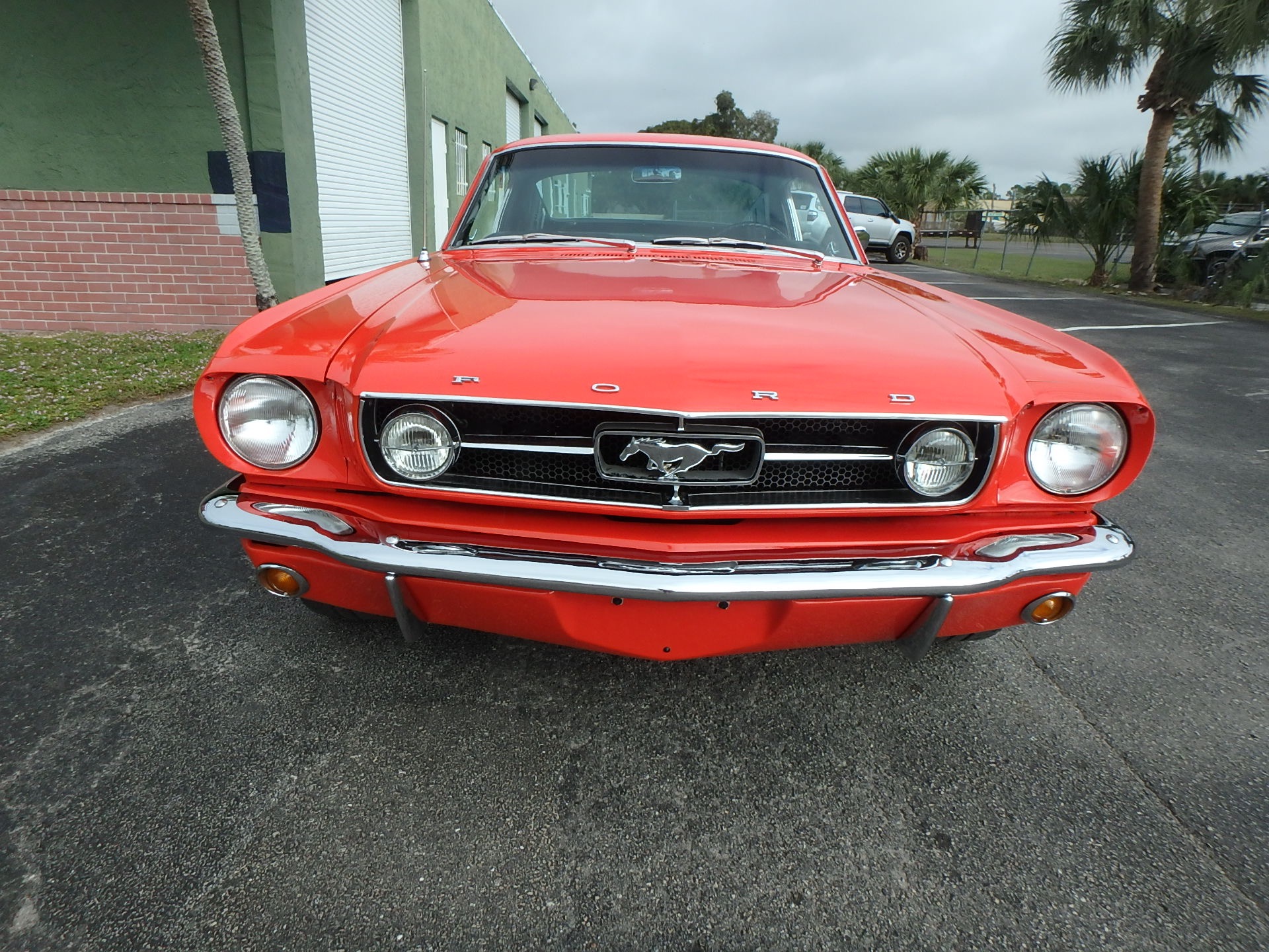 Used 1965 Ford Mustang Fastback 2x2