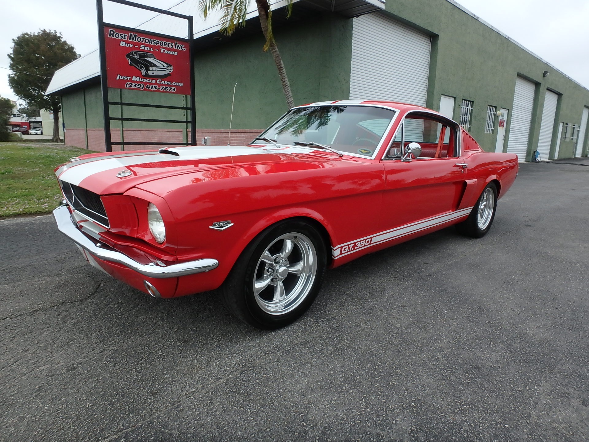 Used 1965 Ford Mustang Fastback GT350