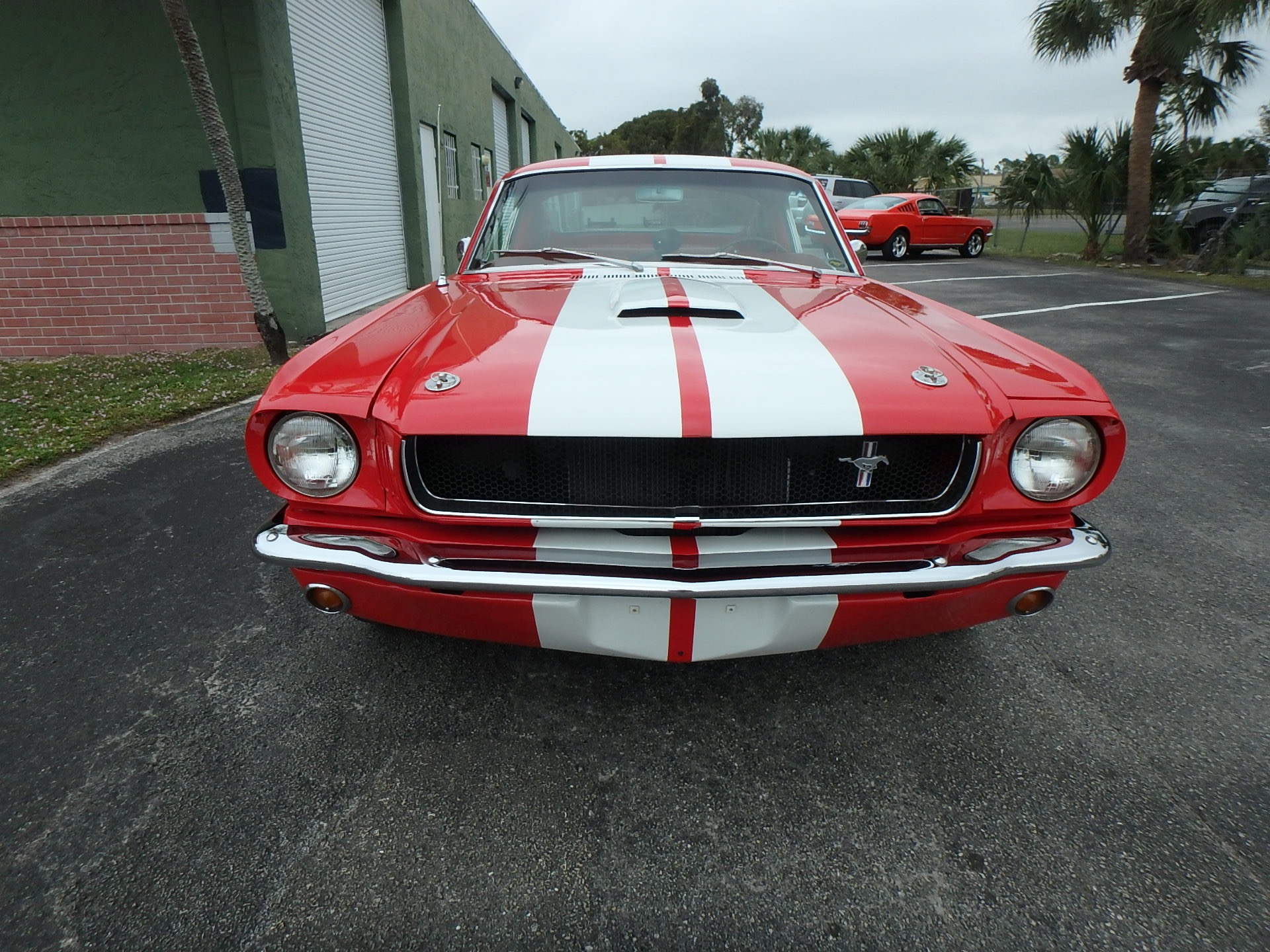 Used 1965 Ford Mustang Fastback GT350