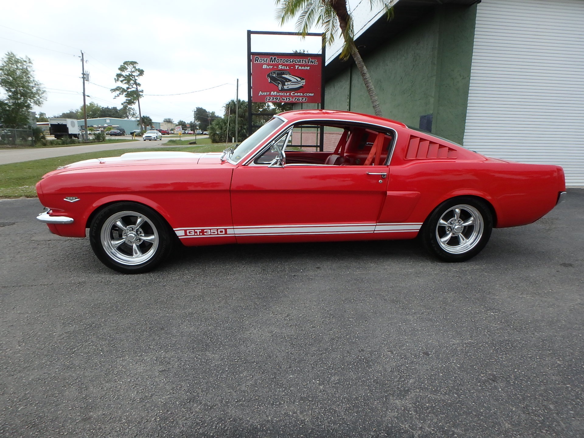 Used 1965 Ford Mustang Fastback GT350