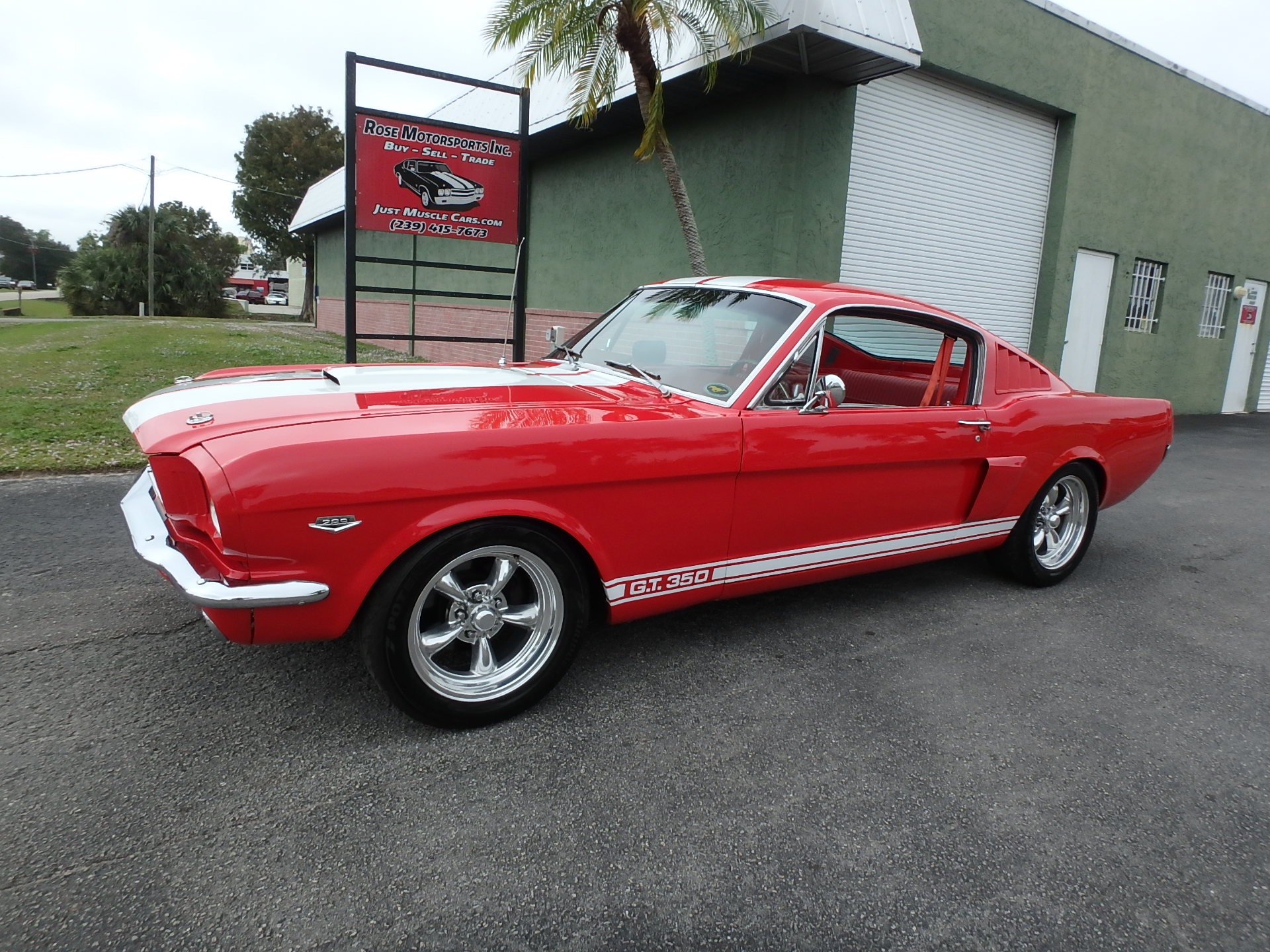Used 1965 Ford Mustang Fastback GT350