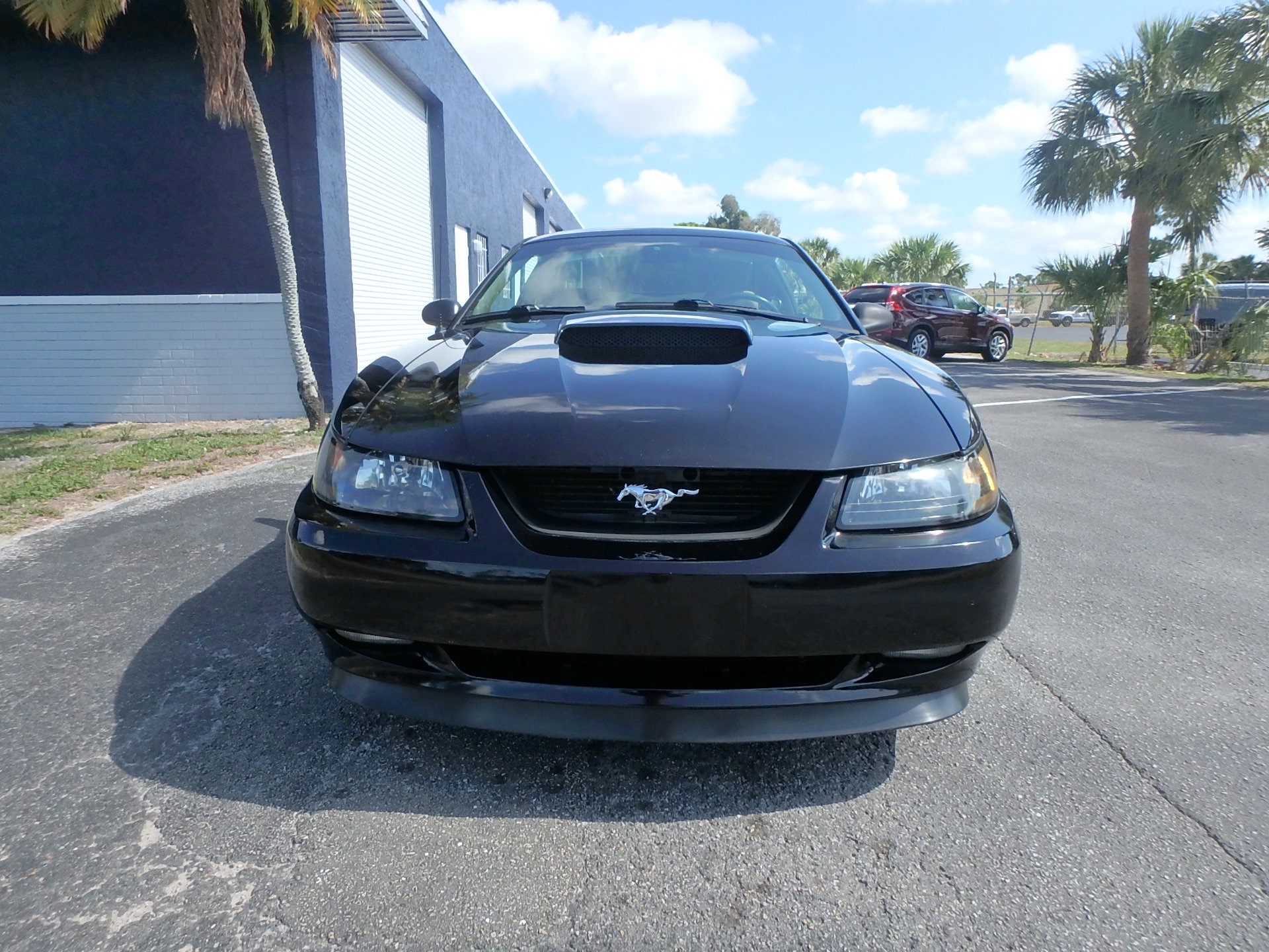 Used 2002 Ford Mustang GT Premium