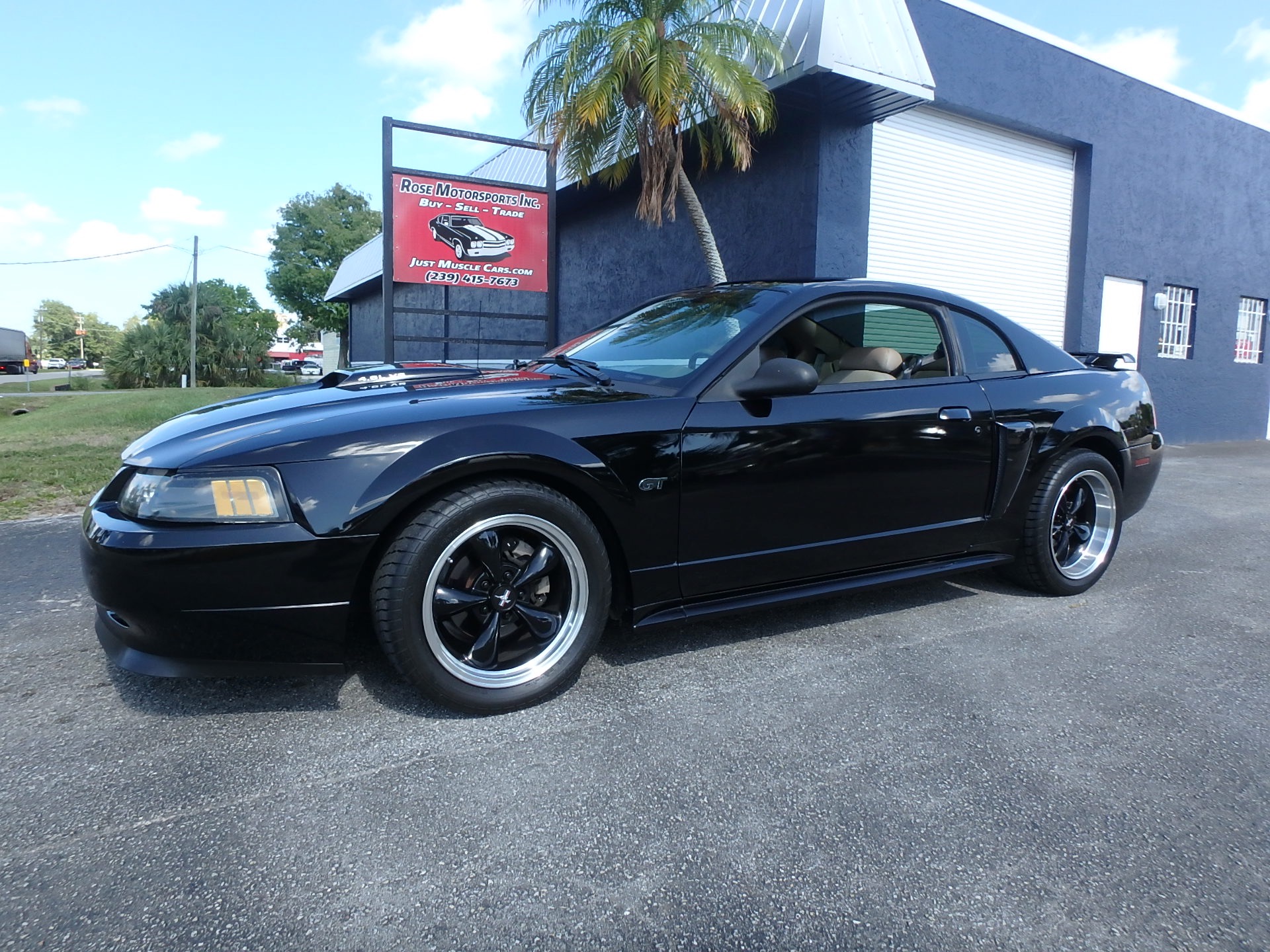 Used 2002 Ford Mustang GT Premium