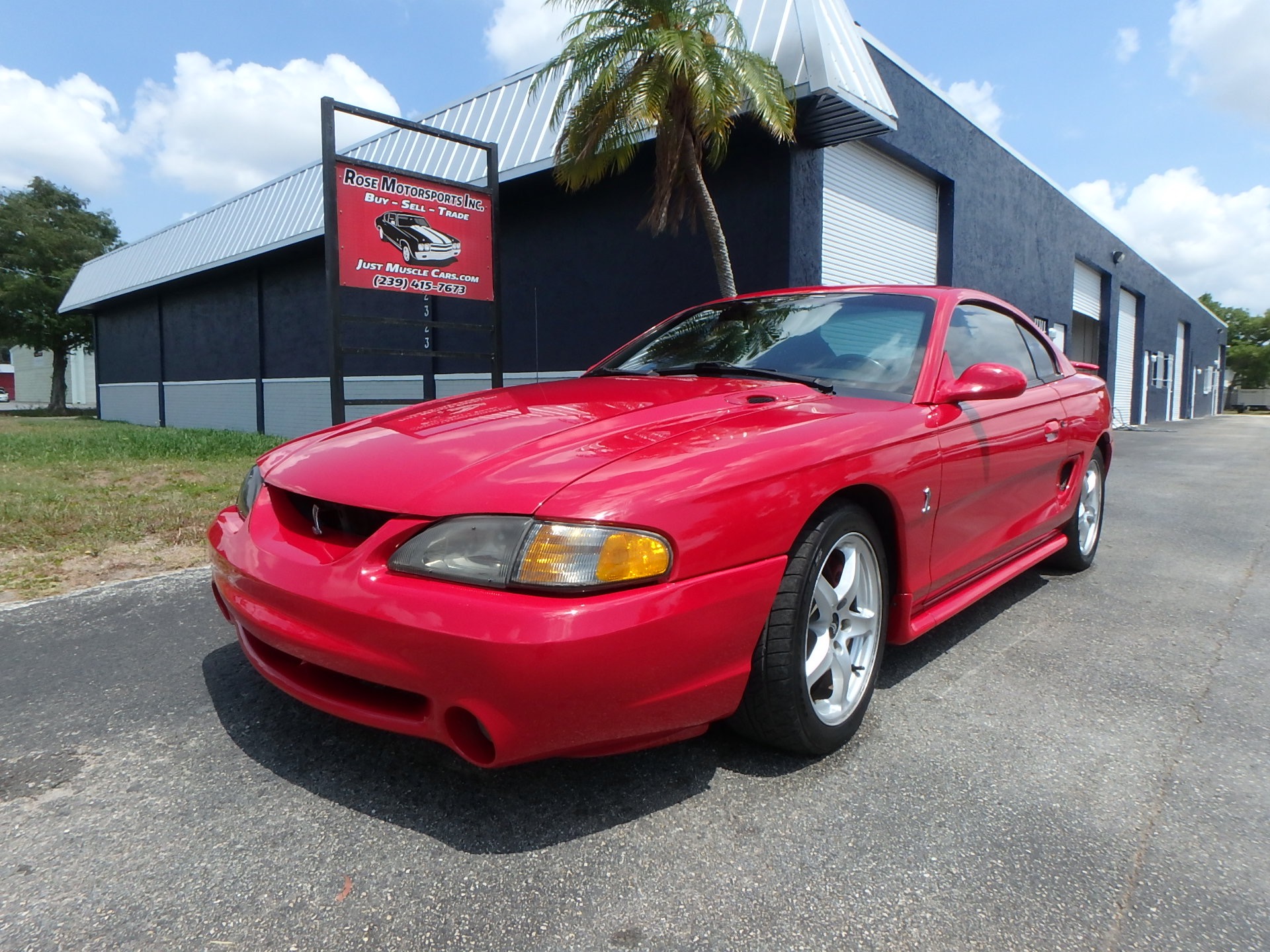 Used 1995 Ford Mustang Cobra