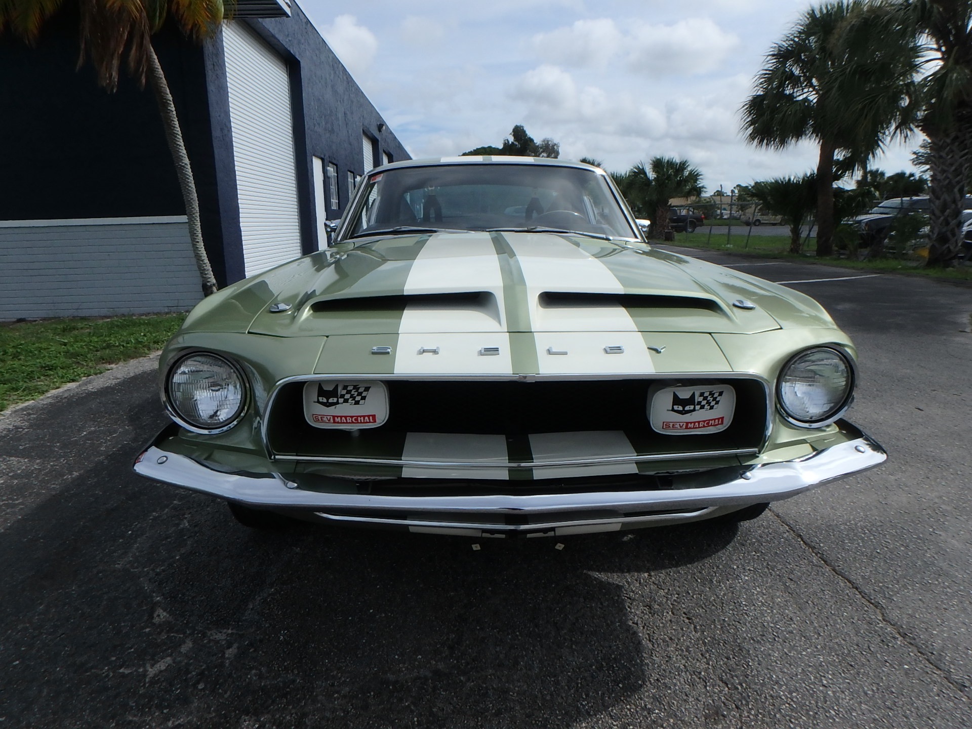Used 1968 Ford Mustang GT500 Fastback