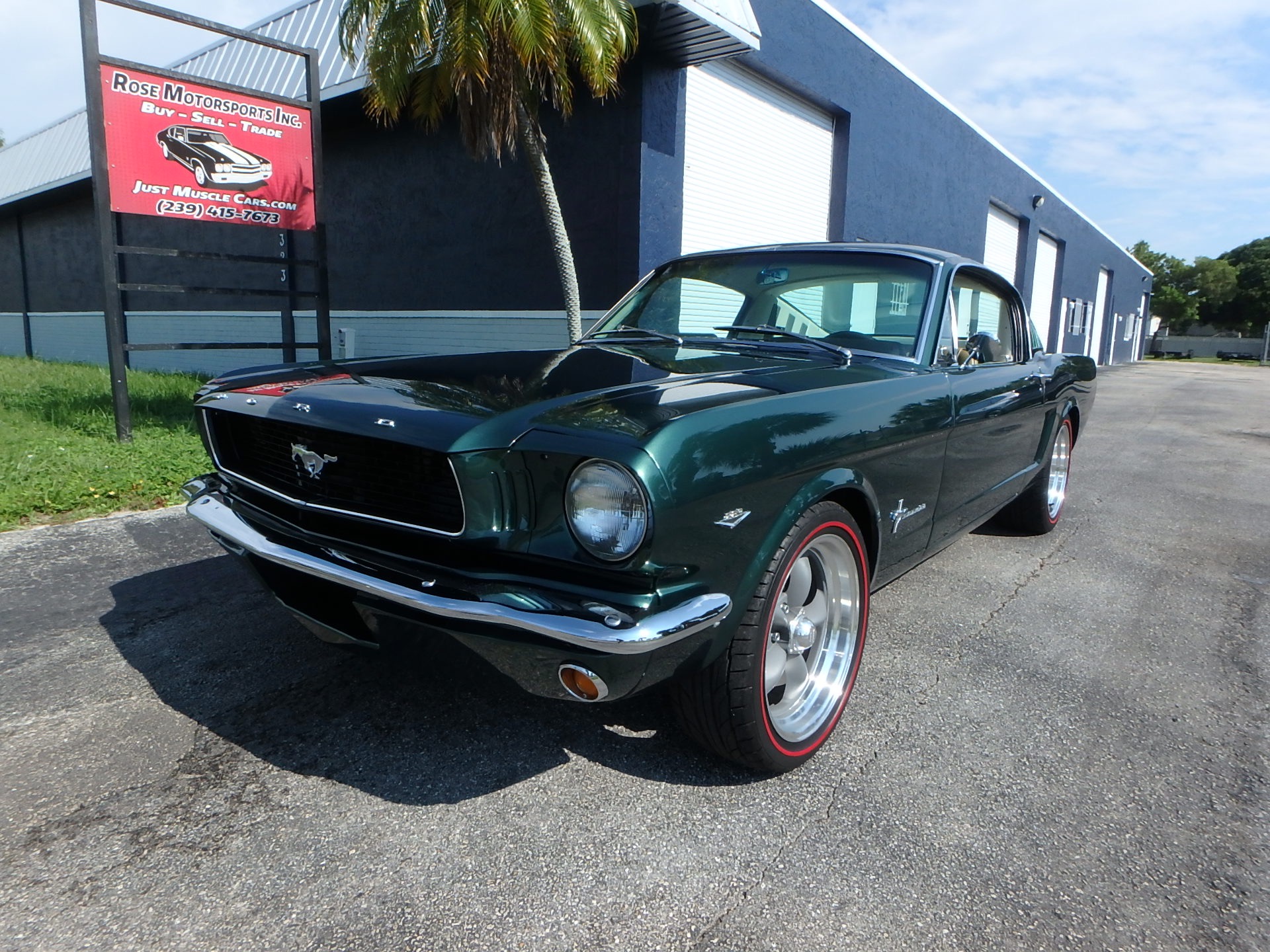 Used 1966 Ford Mustang Fastback