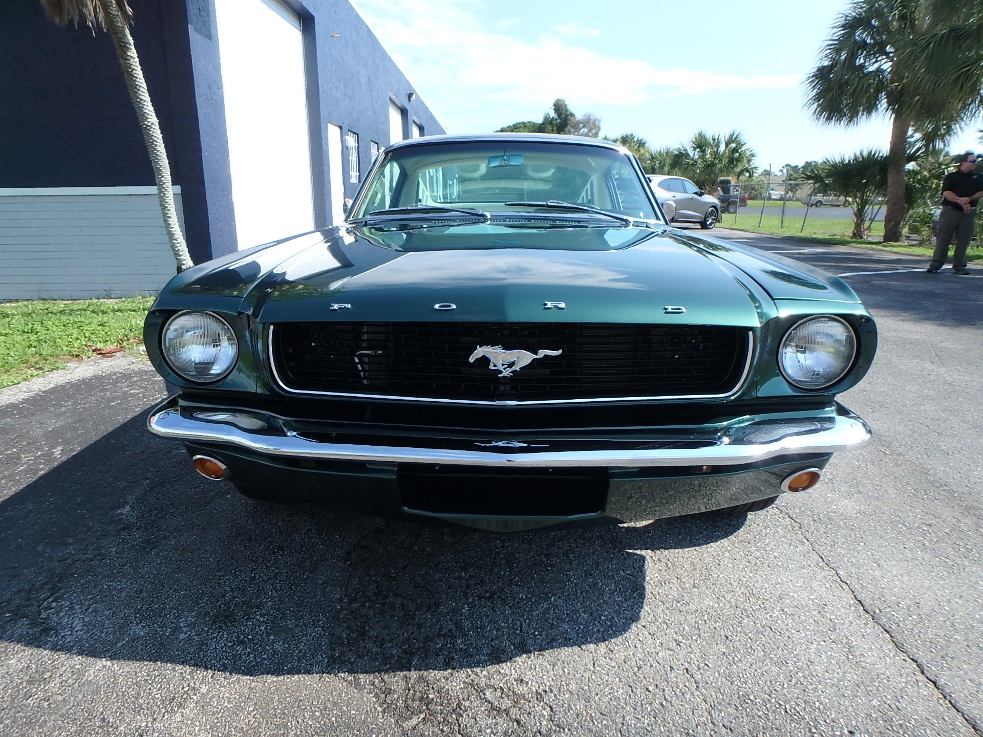 Used 1966 Ford Mustang Fastback