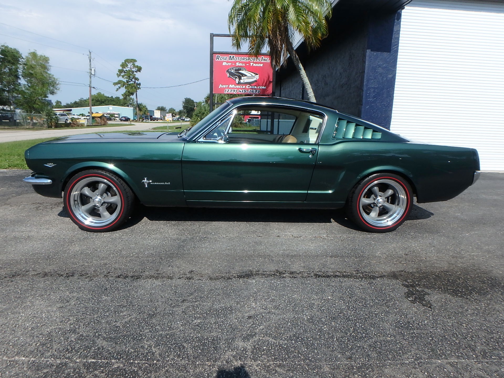 Used 1966 Ford Mustang Fastback