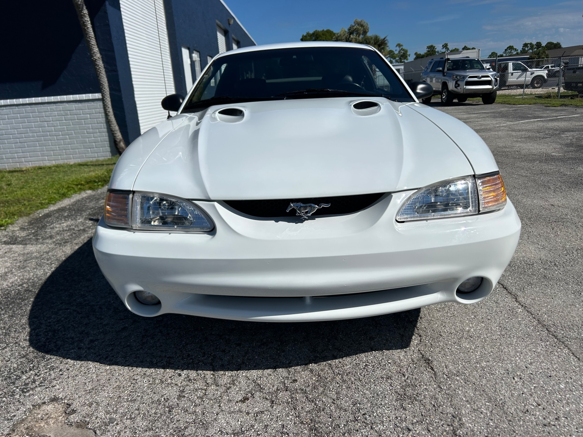 Used 1996 Ford Mustang SVT Cobra