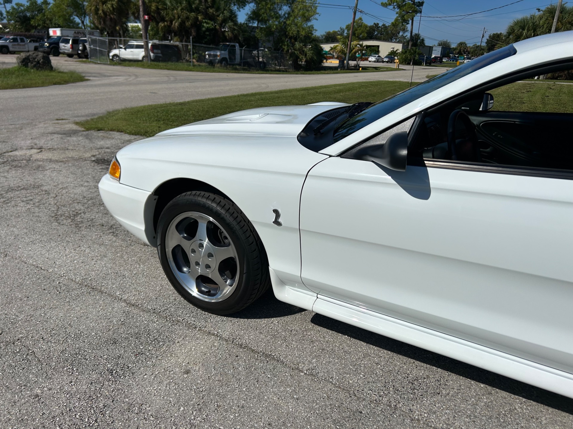 Used 1996 Ford Mustang SVT Cobra