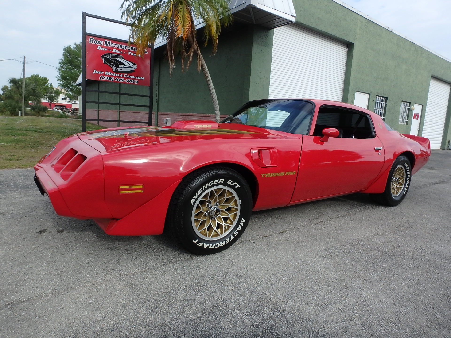 Used 1981 Pontiac Firebird Trans Am