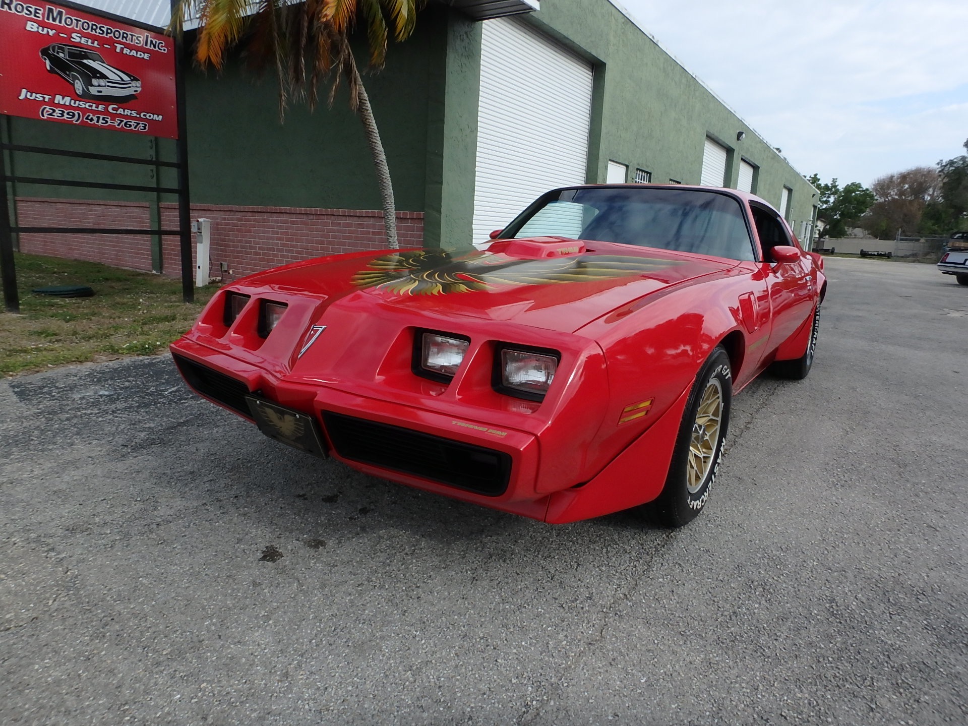Used 1981 Pontiac Firebird Trans Am