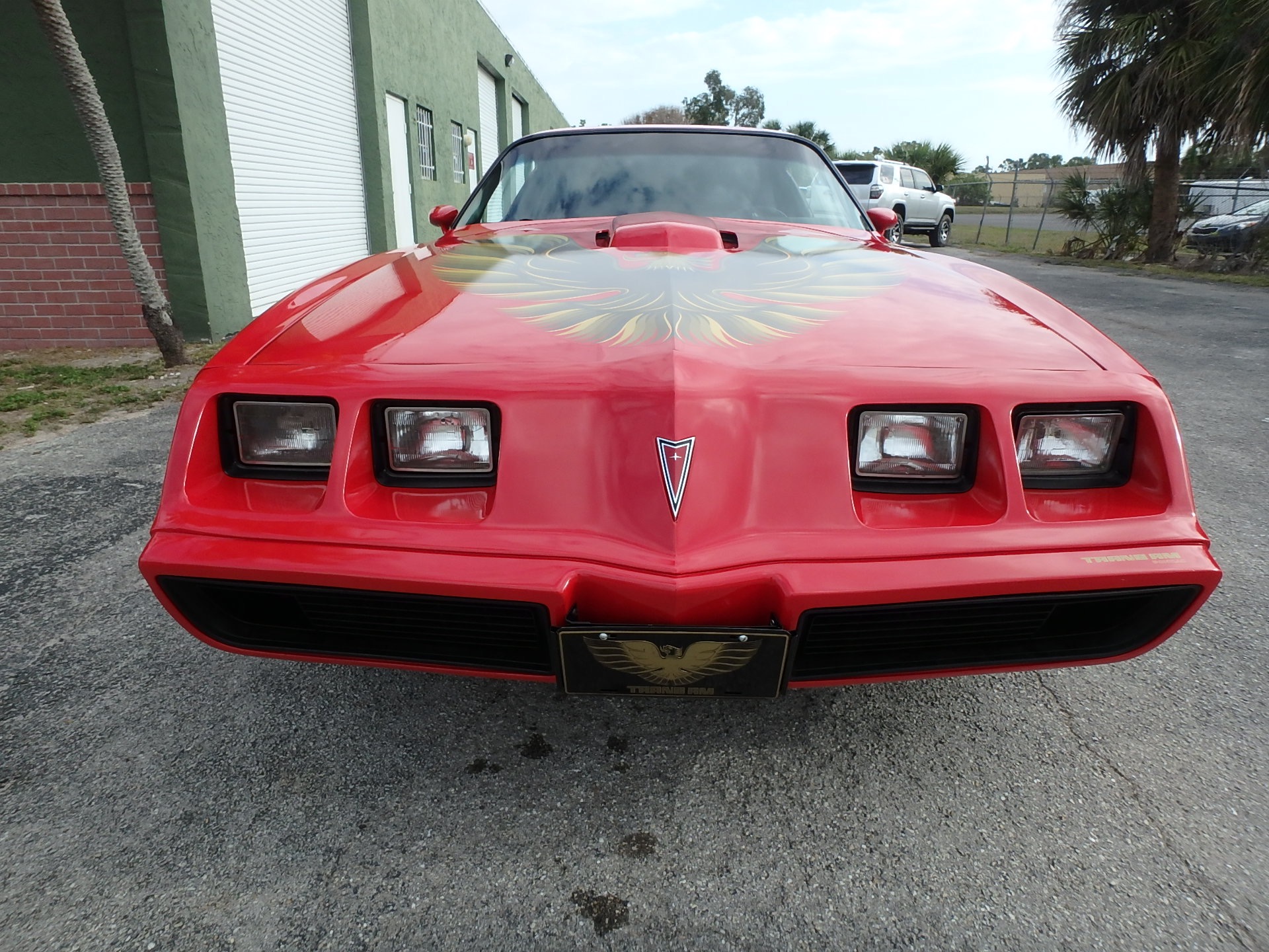 Used 1981 Pontiac Firebird Trans Am
