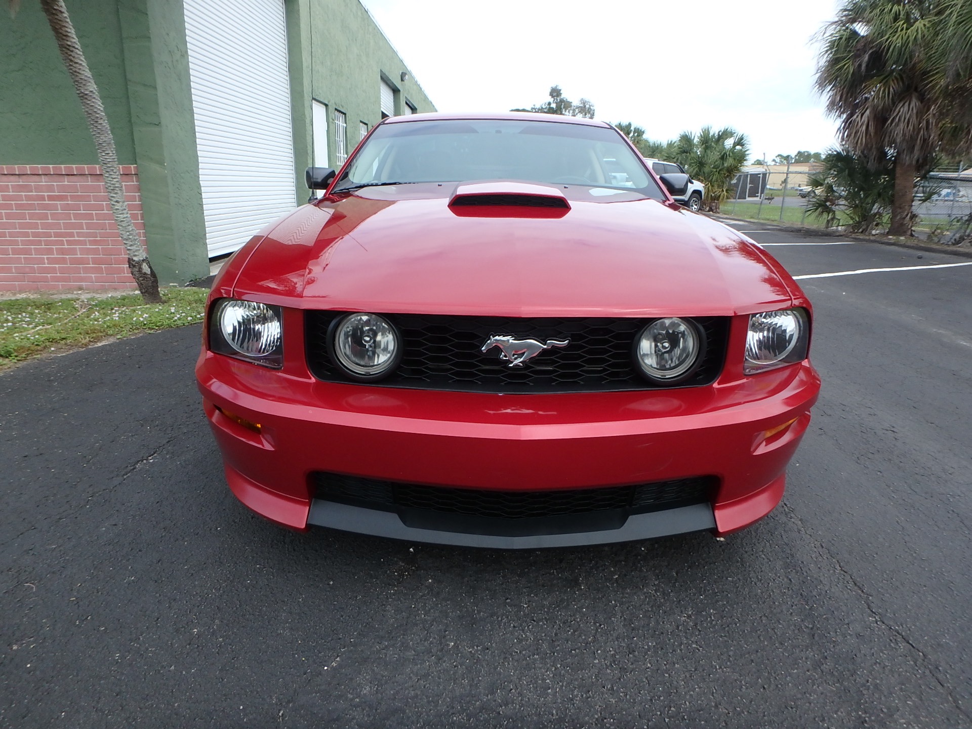 Used 2008 Ford Mustang GT California Special