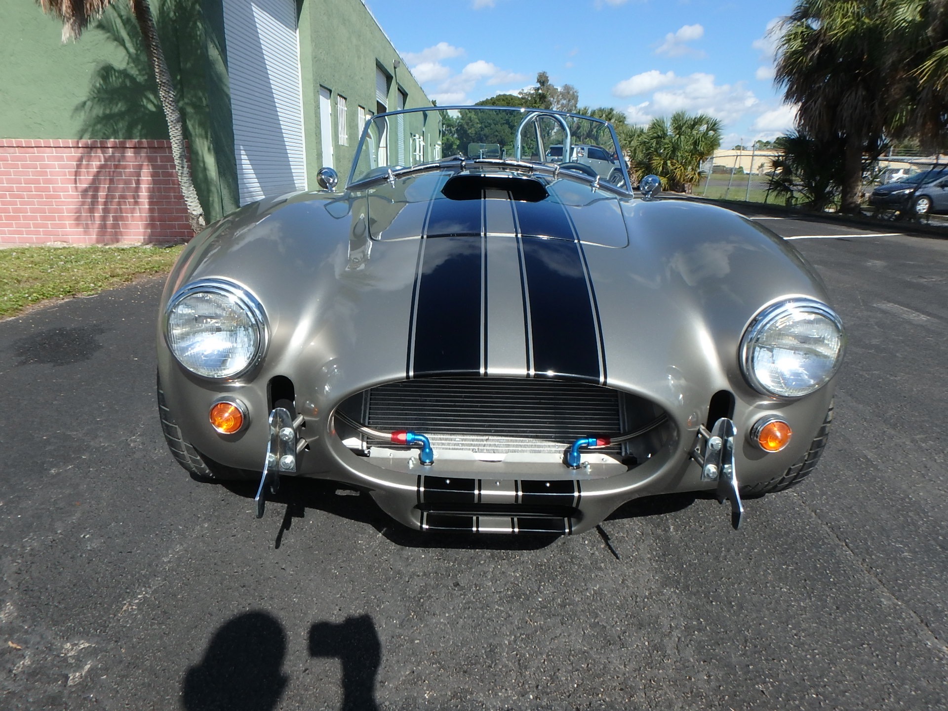 Used 1966 Shelby Cobra