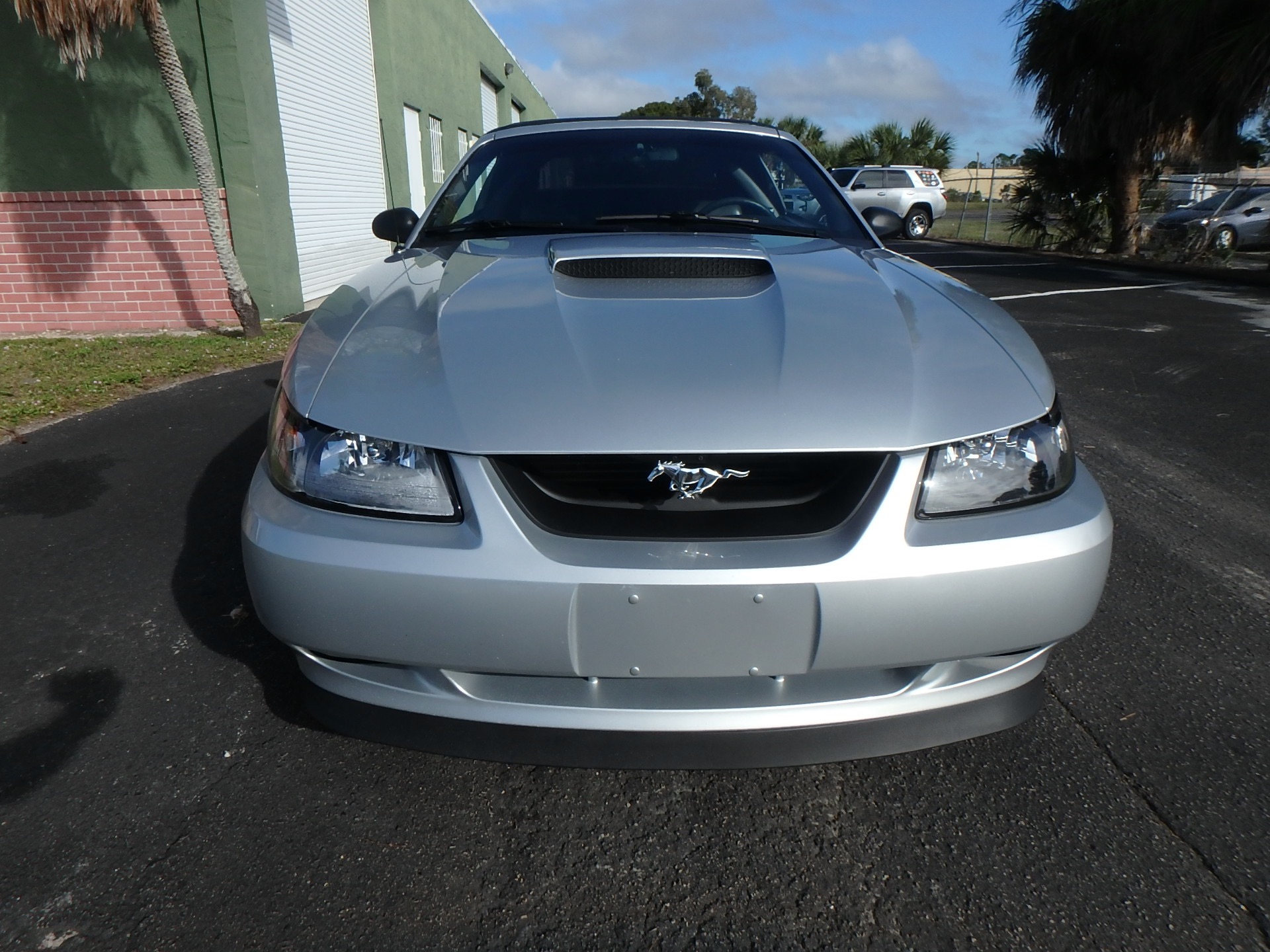 Used 2000 Ford Mustang Gt For Sale 9 900 Rose Motorsports